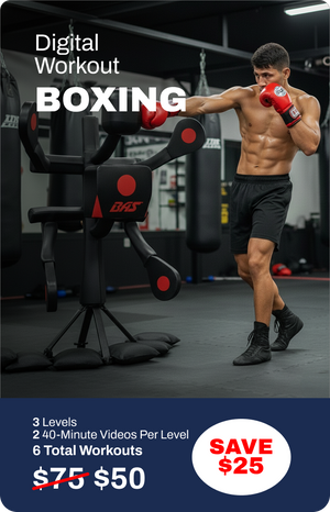 MMA + Boxing + Muay Thai