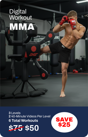 MMA + Boxing + Muay Thai