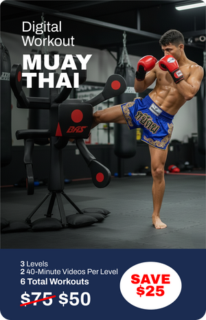 MMA + Boxing + Muay Thai