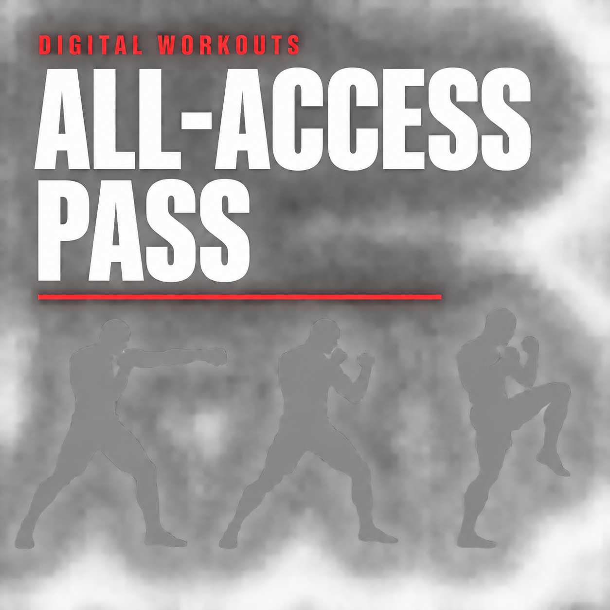 MMA + Boxing + Muay Thai