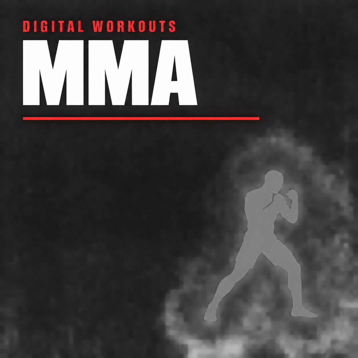 MMA + Boxing + Muay Thai