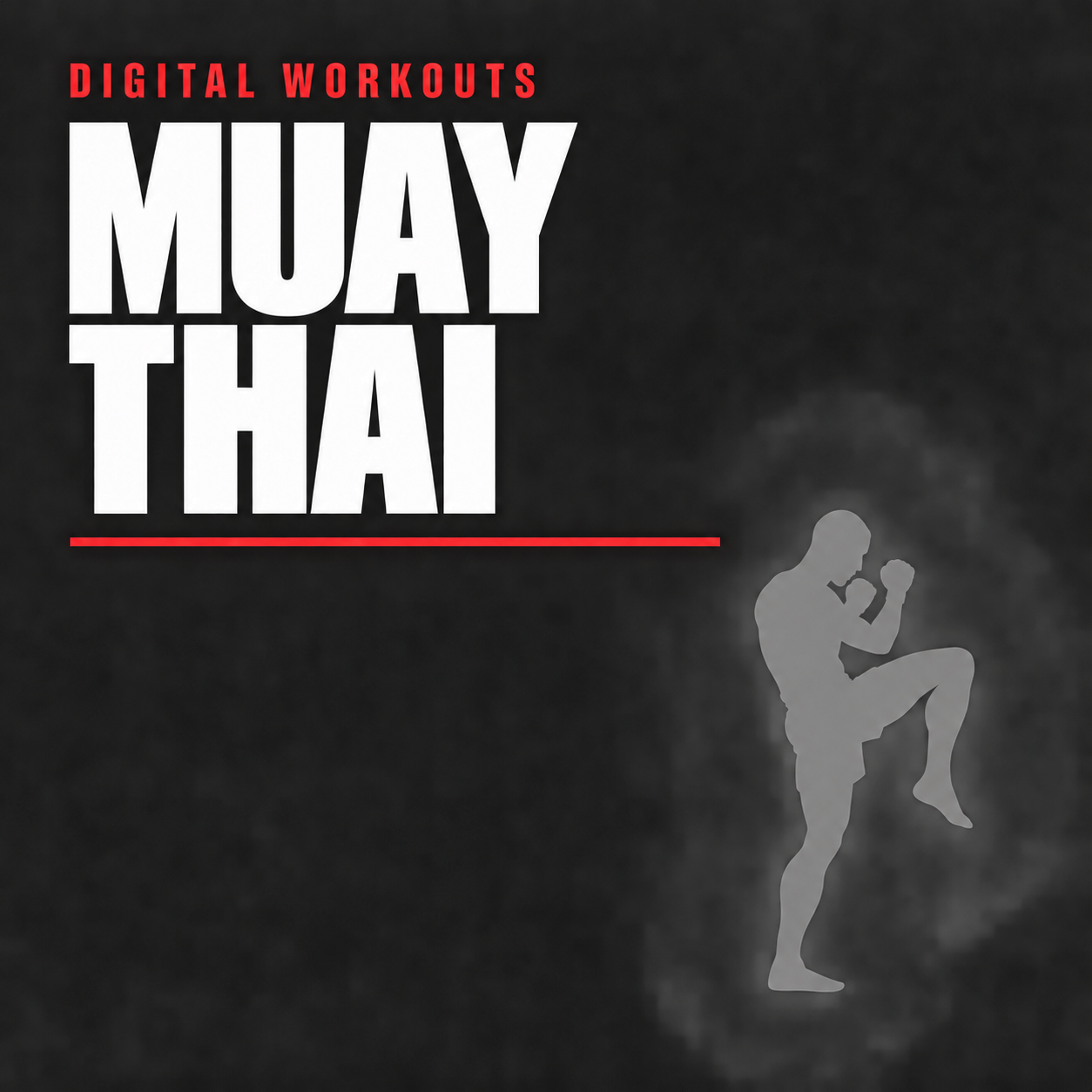 MMA + Boxing + Muay Thai