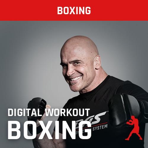 Boxing All Levels